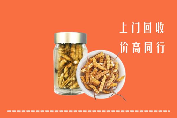封开县回收冬虫夏草