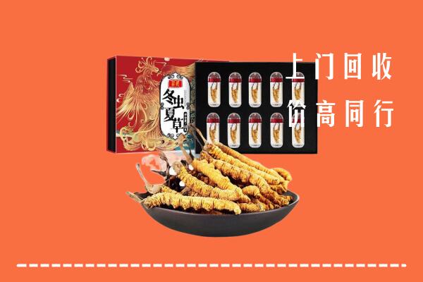 封开县回收虫草